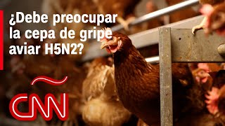 OMS Paciente con gripe aviar H5N2 no murió por el virus [upl. by Sura466]