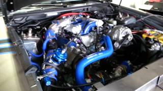 Turbocharged v6 mustang 500hp dyno and tuning SKYSTANG [upl. by Atiz]