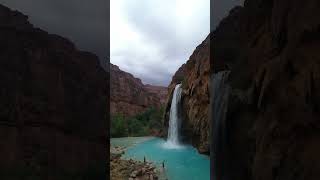 Havasu Falls Desert Paradise  MUST SEE Waterfall shorts [upl. by Idid646]