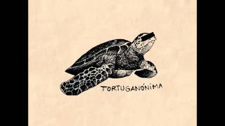 Tortuganónima  Kokoschka [upl. by Ahsitruc]