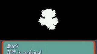 My ZAPY evolve [upl. by Parshall]