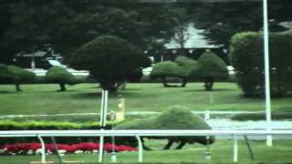 Rachel Alexandra works at Spa August 16 [upl. by Angelique]