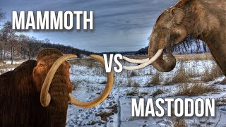 Mammoth v Mastodon [upl. by Cilurzo]