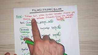 FİİLİMSİLER EN KOLAY ŞEKİLDE FİİLİMSİ BULMA [upl. by Postman]