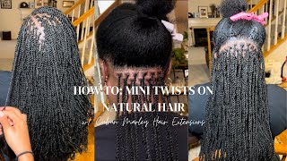 HOW TO Mini Twists with Extensions  Low Maintenance Protective Styles  StepByStep Tutorial [upl. by Ardnu816]