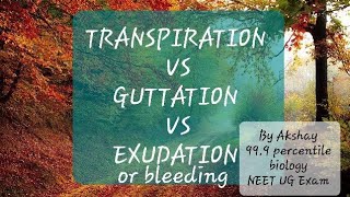 Difference between GUTTATION and BLEEDINGExudationTRANSPIRATIONNEET [upl. by Ycnaffit548]