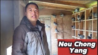 Racing Pigeons  Nou Chong Yang Interview amp Loft Tour [upl. by Joette]