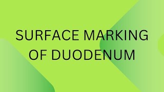 Surface marking of duodenum [upl. by Cela]