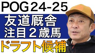 【POG24−25】友道厩舎の注目２歳馬をリストアップ！！【栗東の名門！！／ドラフト検討向け】 [upl. by Leahcimnoj]