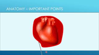 4 Pericardiocentesis  Anatomy [upl. by Nitsa]