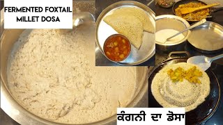 Fermented Foxtail Millet Dosaਕੰਗਨੀ ਦਾ ਡੋਸਾ कंगनी का डोसा High Fibre Gluten Free Milletfat loss🙂 [upl. by Annaujat]