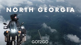 NORTH GEORGIA From BRASSTOWN BALD to DAHLONEGA  the BEST places to visit [upl. by Lekar79]