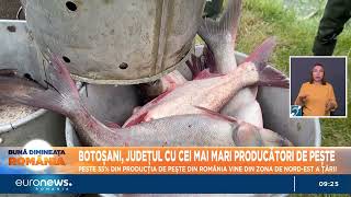 Botoșani județul cu cei mai mari producători de pește 35 din producția țării vine din nordest [upl. by Siuol]