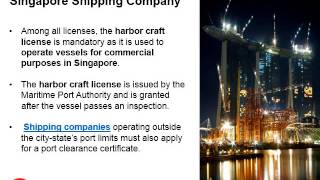 Shipping Company in Singapore [upl. by Alehtse]