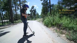 Dead Deer  Downhill Longboarding [upl. by Nnaihs183]