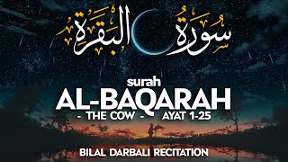 Surah AlBaqarah  Ayat 125  Bilal Darbali ئ بلال دربالي [upl. by Llenehs873]