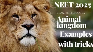 Animal kingdom 🔥 Examples with tricks 💯 for neet 2025 exam [upl. by Narad110]