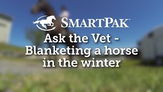 Ask the Vet  Blanketing a horse in the winter [upl. by Zita]