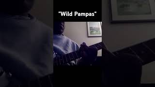 quotWild Pampasquotviral fyi foryoupage guitar fyp foryou trending music instrumental fye [upl. by Ecnarual]