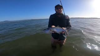 Raw Footage Flathead Fishing in the lake ILLAWARRA [upl. by Joellen]