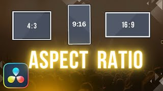 How To Change Aspect Ratio in Davinci Resolve 19 [upl. by Anilorak]