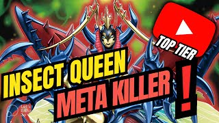 YuGiOh ¿Cómo jugar el Deck INSECT QUEEN  Guía ANALISIS📈 y DECKLIST 🔴 [upl. by Ullyot]