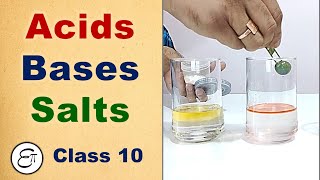 Acids Bases and Salts Introduction  in Hindi for Class 10 [upl. by Nylirej]