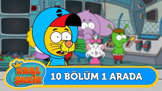 10 Bölüm 1 Arada 👑 84  Kral Şakir [upl. by Clay]