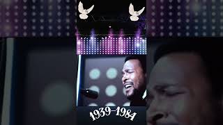 Marvin Gaye  What’s Going On  Iconic Performance Tribute 🎶✨ shortsvideo shorts [upl. by Eikkin693]