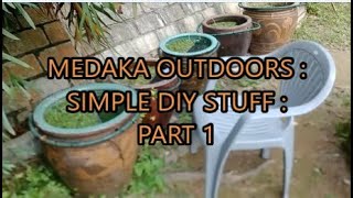 medaka rice fish outdoors  simple DIY stuff  part 1 [upl. by Ahsemit]