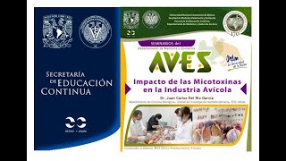 Impacto de las Micotoxinas en la Industria Avícola [upl. by Garcia]