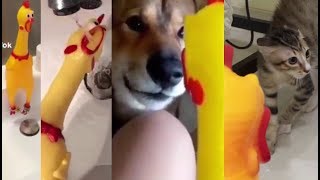 Best rubber chicken memes Compilation [upl. by Anaderol]