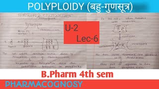 POLYPLOIDY HIGHER CHROMOSOME NUMBER IMPROVED CULTIVATION TECHNIQUEPHARMACOGNOSY1 U2 LEC6 [upl. by Ly]