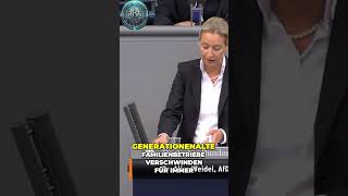 🔥 Alice Weidel Der dramatische Rückgang – Familienbetriebe und ihr Ende 📉🏠🔍 [upl. by Bertina]