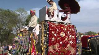 ELEPHANT FESTIVAL INDIA 2011 [upl. by Annawik]