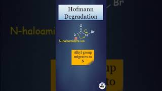 Hofmann Degradation [upl. by Rebmit]