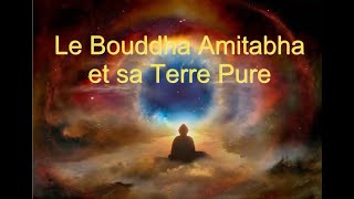 Le Bouddha Amitabha amp sa Terre Pure  Pourquoi ils existent vraiment À voir [upl. by Heiskell]