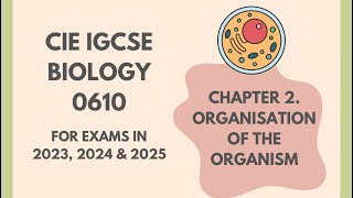 2 Organisation of the Organism Cambridge IGCSE Biology 0610 for exams in 20232024 and 2025 [upl. by Nehtanhoj350]