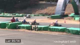 IAME X30 Masters Cup 2013 X30 Prefinal [upl. by Mauricio]