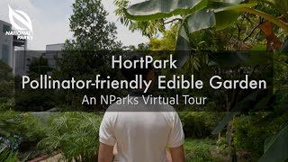 Pollinatorfriendly Edible Garden at HortPark  An NParks Virtual Tour [upl. by Ardnaeel309]