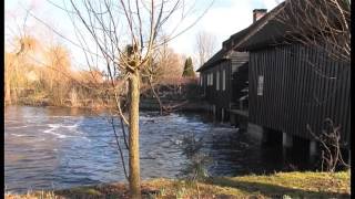 Hoogwater in de Dommel [upl. by Flanders818]