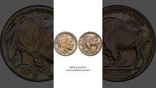 1920 Buffalo Nickel Worth 138000 coin nickel coincollecting treasurehuntcoinvalue [upl. by Strenta]