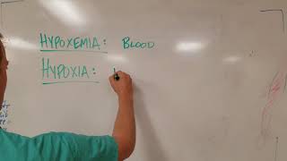 Hypoxia vs Hypoxemia Know the Difference [upl. by Seebeck421]