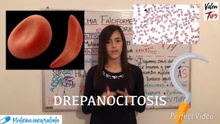 ANEMIA FALCIFORME  DREPANOCITOSIS  HbS💉 ¿rasgo drepanocítico ¿Protección contra la malaria👀🔝 [upl. by Burnsed]