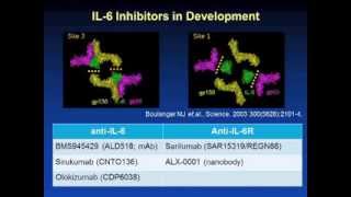 IL6 Targeting [upl. by Guerra157]