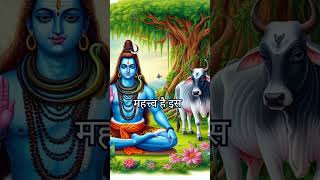 Pradosh Vrat 2024 Siddhi aur Ravi Yog Mein Pradosh Vrat Kal  shorts VratKatha shivshakti [upl. by Itram597]