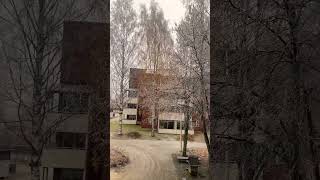 FIRST SNOWFALL IN FINLAND Joensuu winter in Finland finland4k finlandworkvisa finlandtourism [upl. by Htebaras]