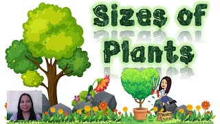 Sizes of Plants  Plants  Trees  Shrubs  Herbs  Teacher Beth Class TV [upl. by Walcoff]