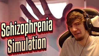 What Is a Schizophrenia Simulation Like [upl. by Aerdnahc]