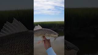 The Best Lure For Sightfishing BIG Fish In Shallow Water [upl. by Anhaj]